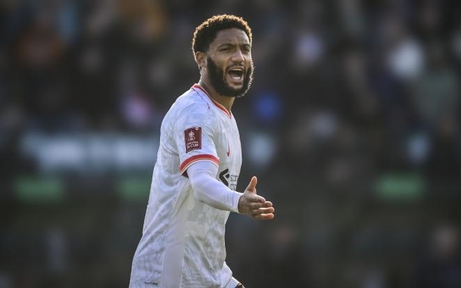 牌榜的最新 牌榜的最新