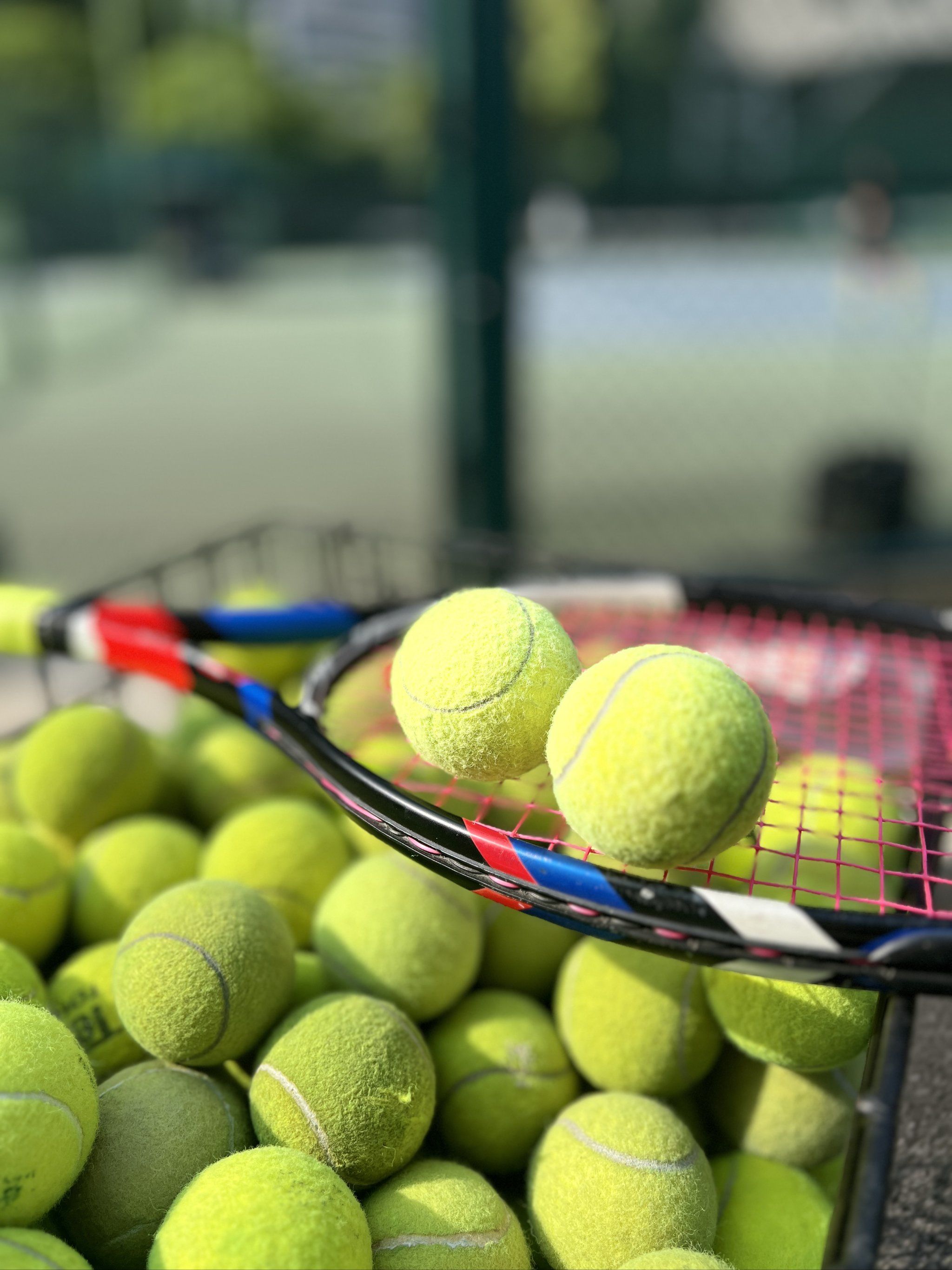 仅是战术上 仅是战术上