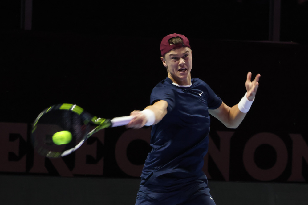 新鲜血液的 新鲜血液的