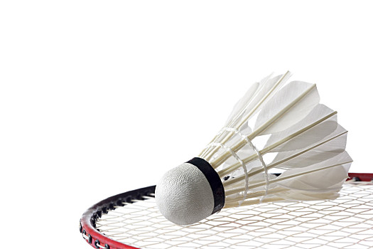 项经典的耐 项经典的耐