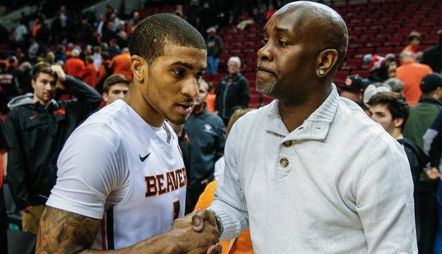 的大行李袋 的大行李袋